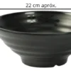 24273DUN0005-1 MELAMINA CUENCO CÓNICO 22CM H81009