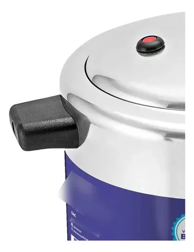 33229PAN0042-1 OLLA DE PRESION 10 LT - PANELUX