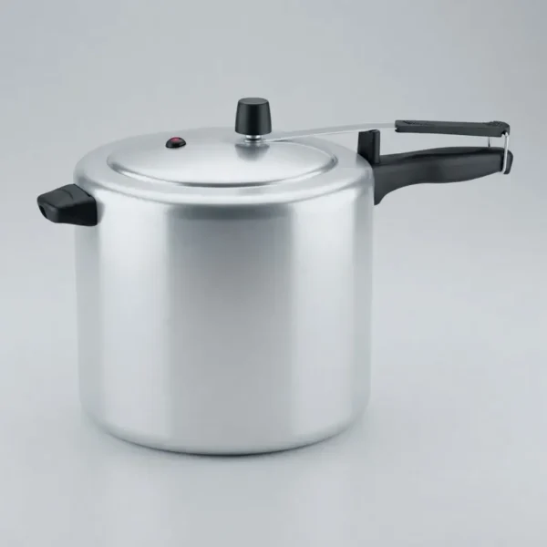 33229PAN0042-6 OLLA DE PRESION 10 LT - PANELUX