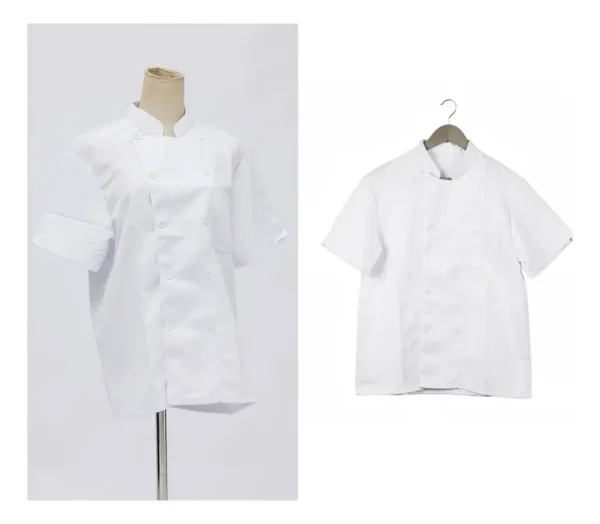 CHAQUETA DE CHEF BLANCA MANGA CORTA XL - TF505-19